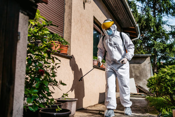 Best Flea Control Services  in East Hemet, CA