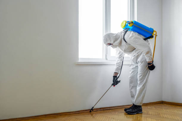 Best Emergency Pest Control  in East Hemet, CA