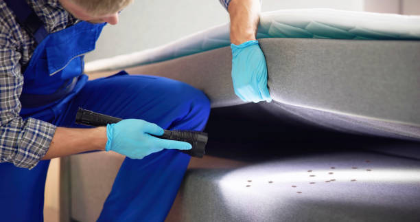 Best Best Pest Control Companies  in East Hemet, CA
