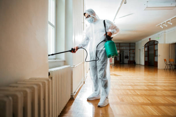 Best Wildlife Control Services  in East Hemet, CA