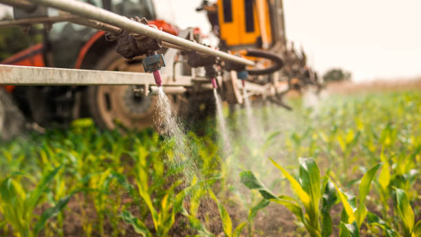 Best Pest Control for Businesses  in East Hemet, CA
